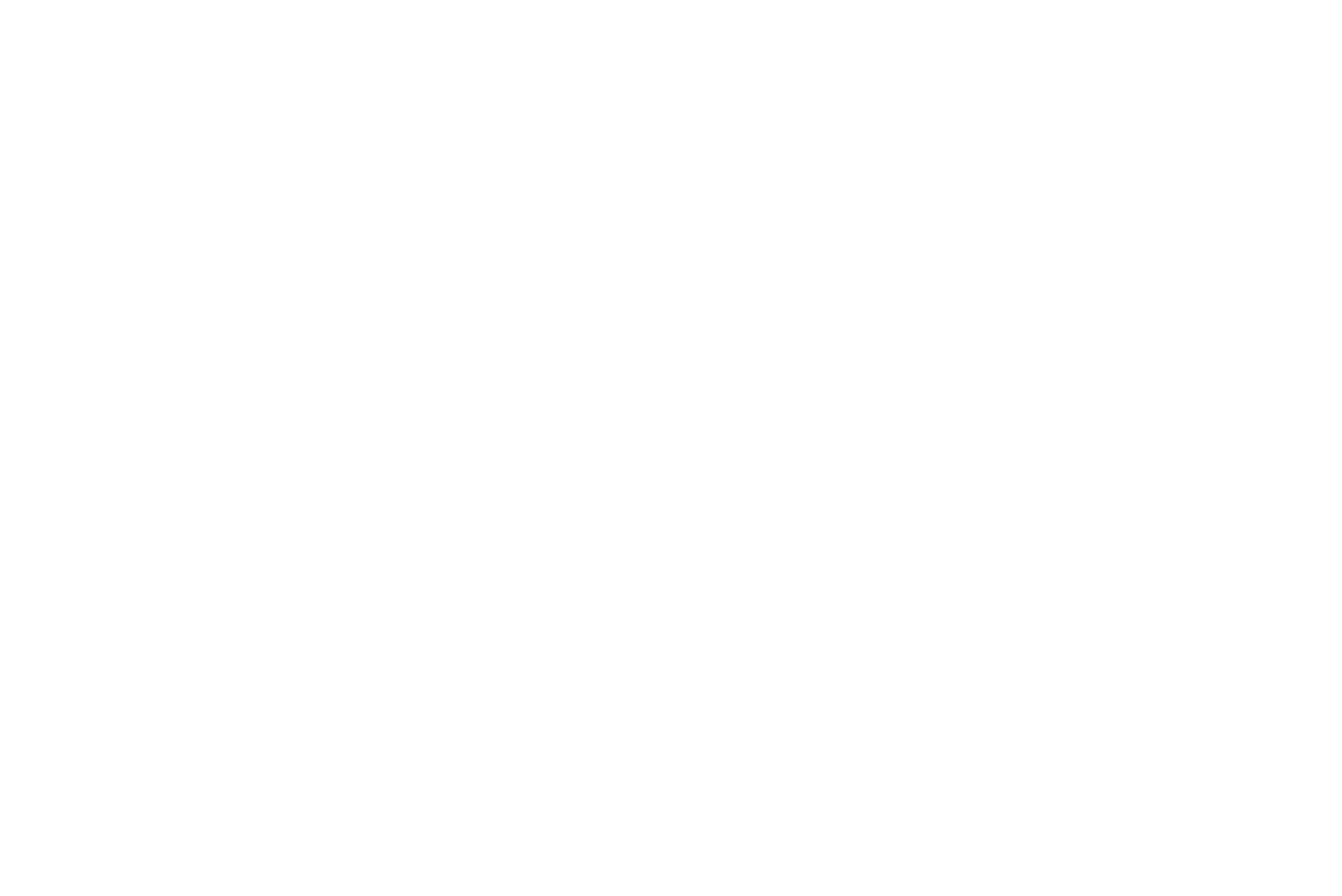Barry Bush Logo
